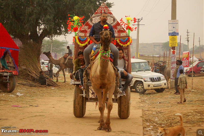 Ciazzler® Roadtrip | Pushkar Camel Fair - A Photologue-4pushkar-9k1000.jpg