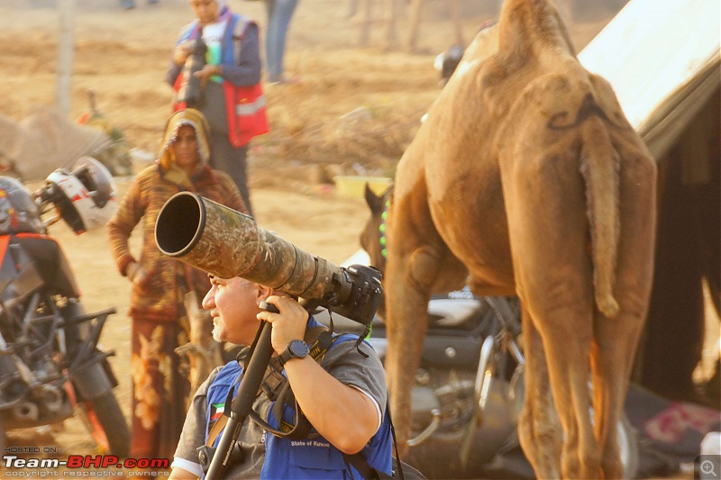 Ciazzler® Roadtrip | Pushkar Camel Fair - A Photologue-4pushkar-3k1000.jpg