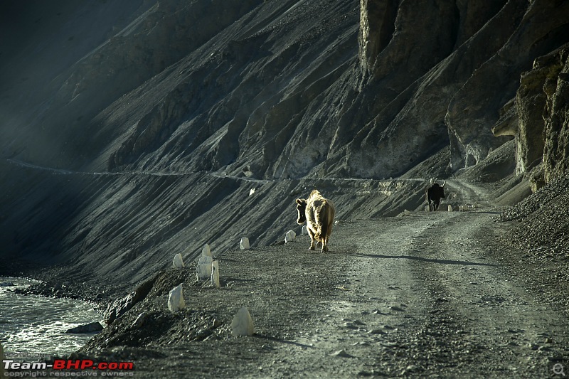 Heavy Vehicles at high altitude Himachal Pradesh!-img_14661.jpg