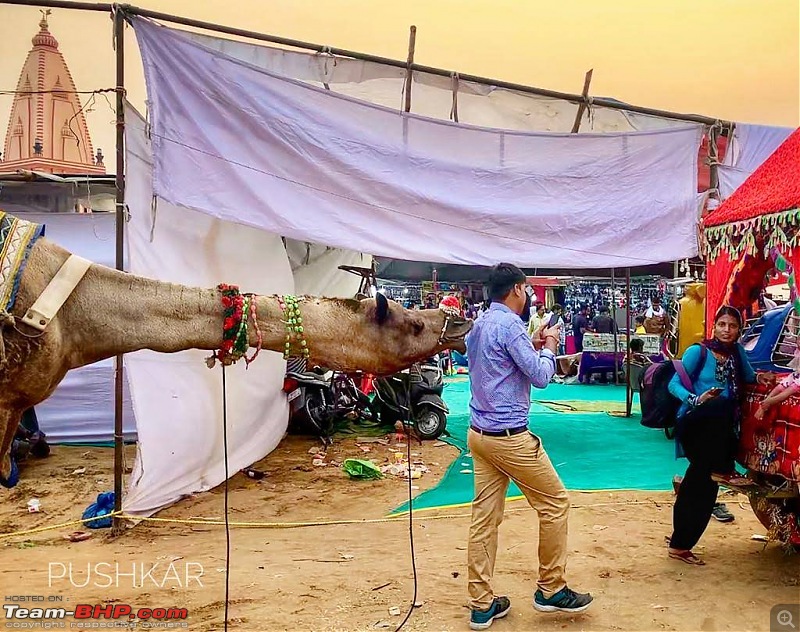 Ciazzler Roadtrip | Pushkar Camel Fair - A Photologue-6pushkarpeople-36.jpg