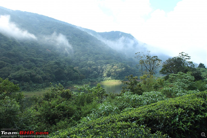 Meghamalai - the Highwavy Mountains - via Munnar-enroute_megh1.jpg