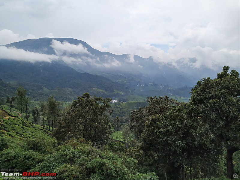 Meghamalai - the Highwavy Mountains - via Munnar-gulmoharpoint.jpg