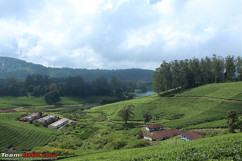 Meghamalai - the Highwavy Mountains - via Munnar-maharajamedu_descent.jpg