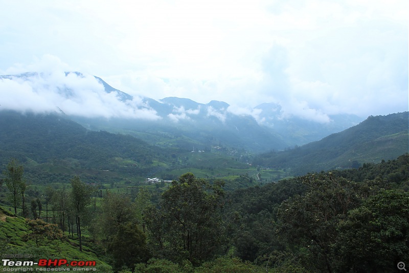 Meghamalai - the Highwavy Mountains - via Munnar-munnar_entr.jpg