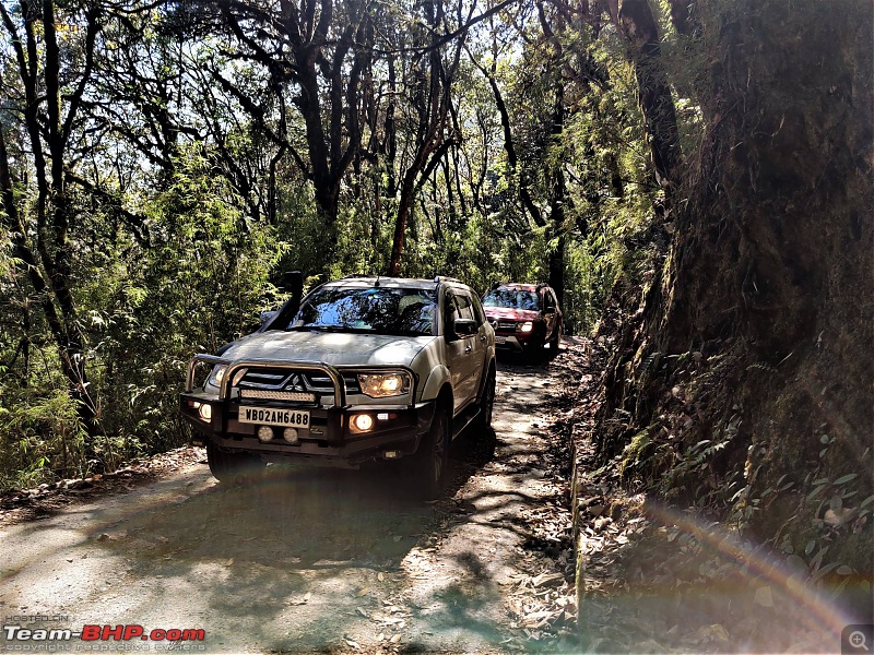 A weekend road-trip from Kolkata to Sandakphu-paj-red-exp-tree.jpg