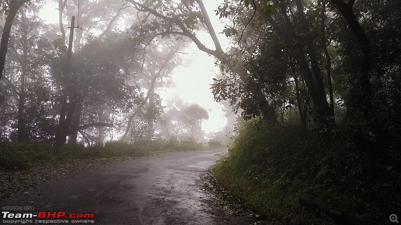 Nelliyampathy - Kerala's little paradise! A photologue-psx_20191128_2105481440x810.jpg