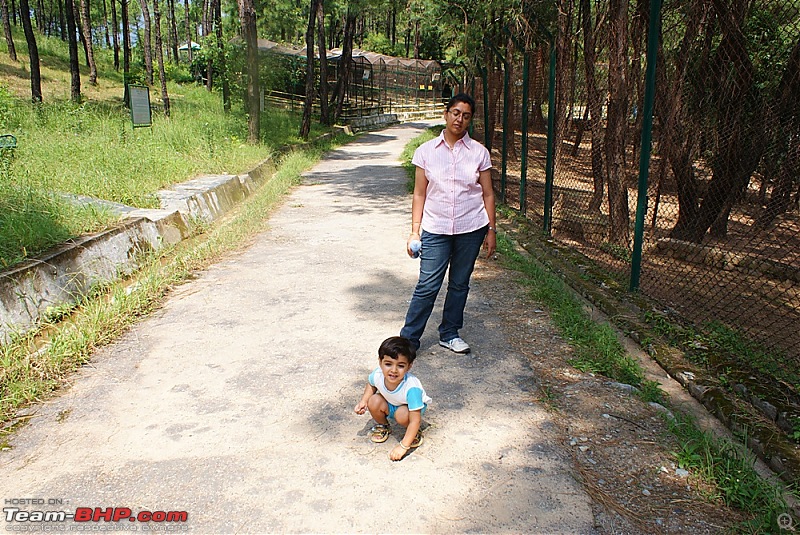A Family Holiday In The Kangra Valley-dsc02320.jpg