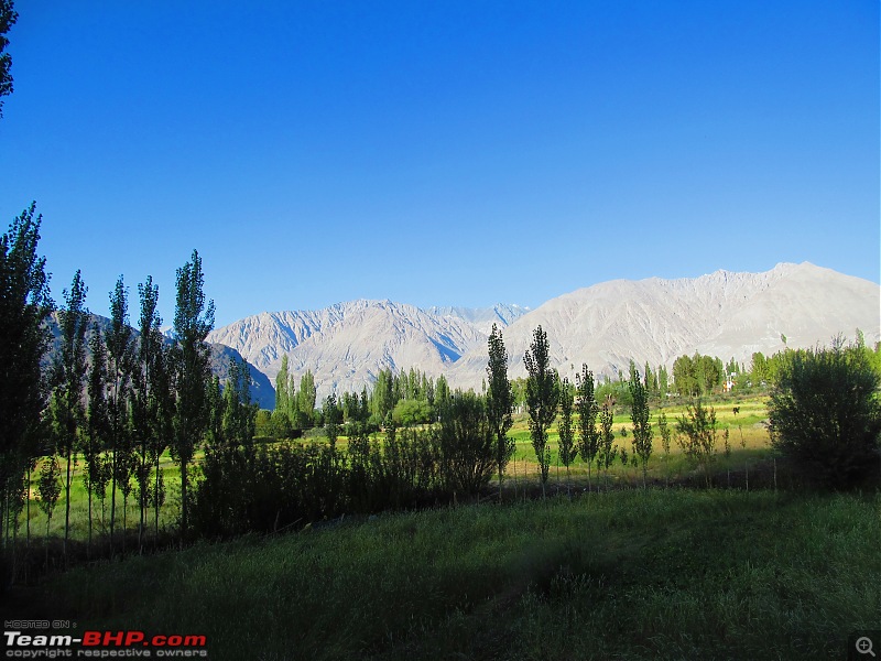 The grandest of all our road trips - Sherdil's journey from Kolkata to the Union Territory of Ladakh-img_1702.jpg