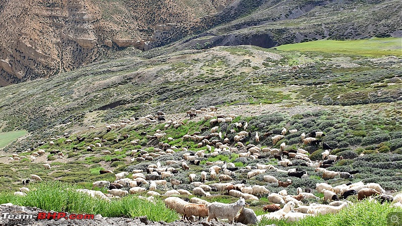 Bangalore to Spiti Valley in our Mahindra Thar-20190817_142213min.jpg