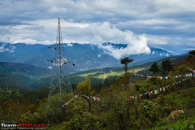 A Bhutan weekend in a Swift-chelela-3.jpg