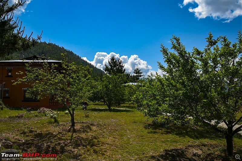 A Bhutan weekend in a Swift-paro-hotel-5.jpg