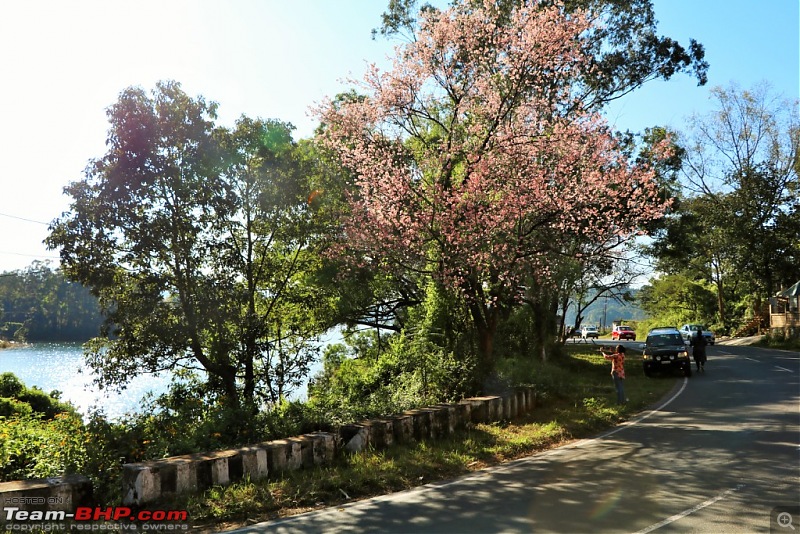 Teenage Endeavour to the Abode of Clouds : Exploring Meghalaya-img_2330.jpg