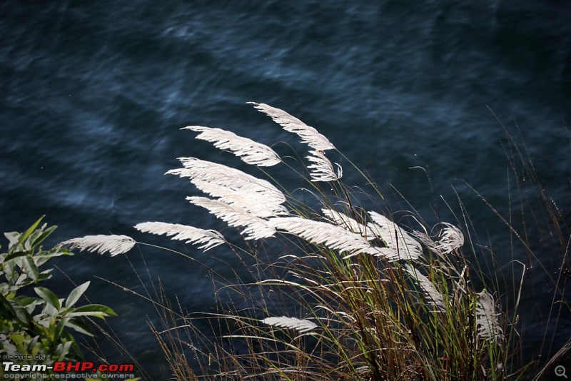 Teenage Endeavour to the Abode of Clouds : Exploring Meghalaya-img_2387-2.jpg