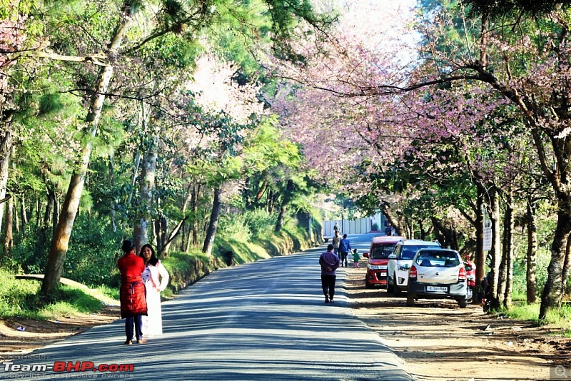 Teenage Endeavour to the Abode of Clouds : Exploring Meghalaya-img_2613.jpg