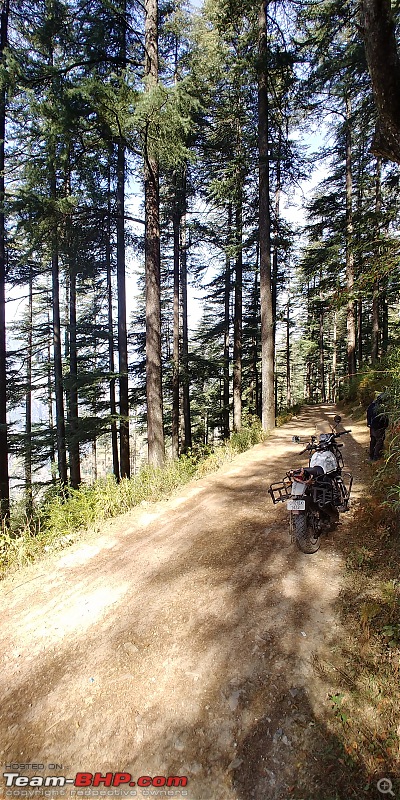 A Kiss of Death in Magical Himachal-20191101_113443_hdr.jpg