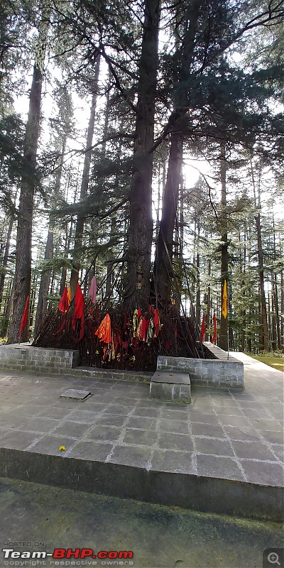 A Kiss of Death in Magical Himachal-20191101_120305_hdr.jpg