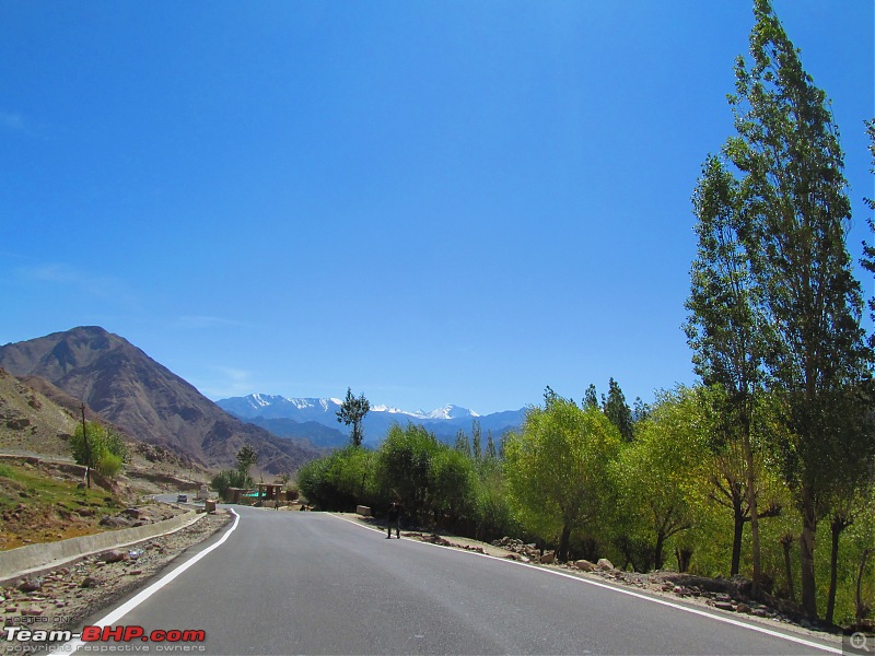 The grandest of all our road trips - Sherdil's journey from Kolkata to the Union Territory of Ladakh-img_1937.jpg