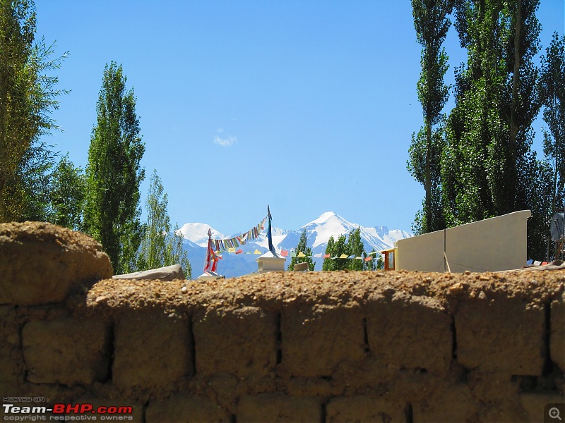 The grandest of all our road trips - Sherdil's journey from Kolkata to the Union Territory of Ladakh-img_1981.jpg