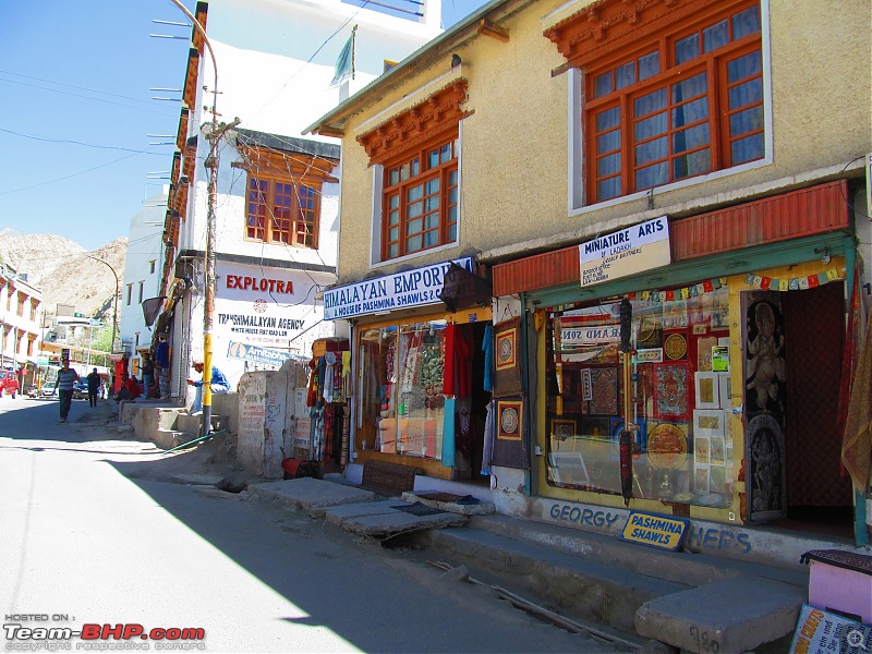 The grandest of all our road trips - Sherdil's journey from Kolkata to the Union Territory of Ladakh-img_1983.jpg