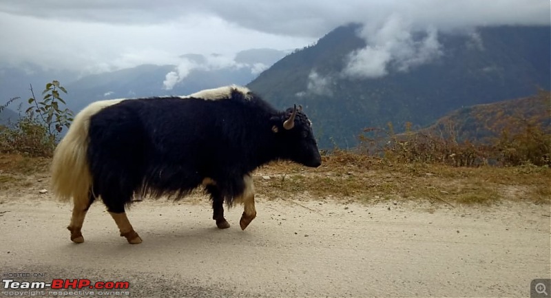 9220 km Trip to Superb Sikkim, Awesome Arunachal & Magnificent Meghalaya-img20191110wa0029.jpg