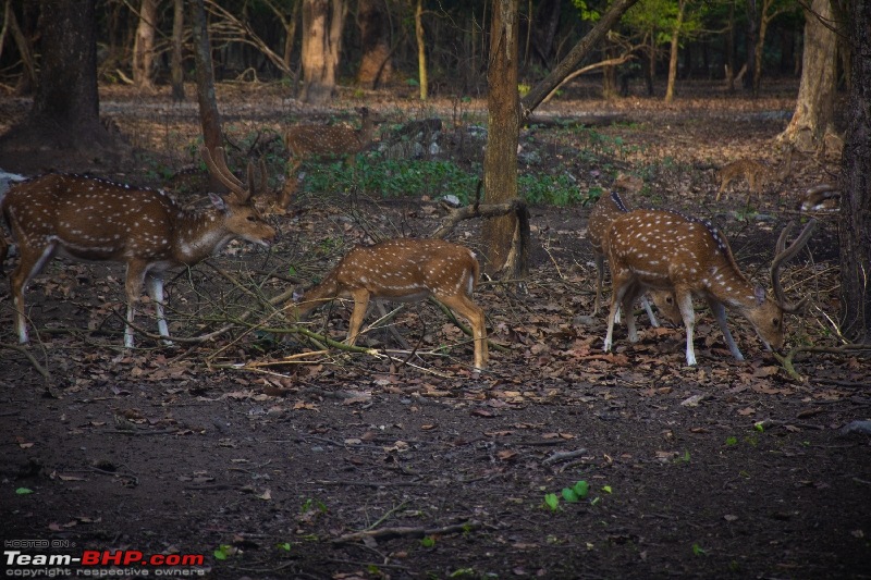 West Bengal - A treasure for tourists-dsc_3621_resize_67.jpg