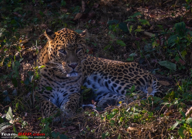 West Bengal - A treasure for tourists-dsc_3666_resize_69.jpg