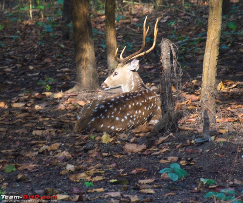 West Bengal - A treasure for tourists-dsc_3618_resize_73.jpg