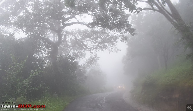 Bangalore - Munnar - Varkala - Alleppey in our Thar-dsc_0131_e.jpg