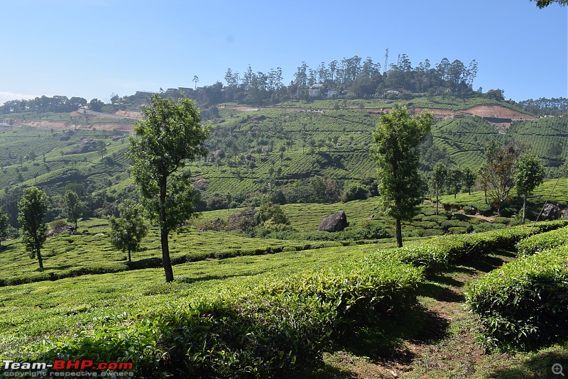 Bangalore - Munnar - Varkala - Alleppey in our Thar-dsc_0151.jpg