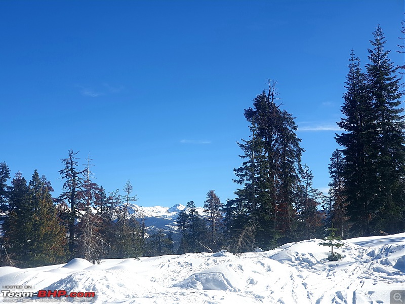 Once upon a time in California | San Francisco, Yosemite, & the Pacific Coast Highway | Winter 2019-badger-pass-6.jpg