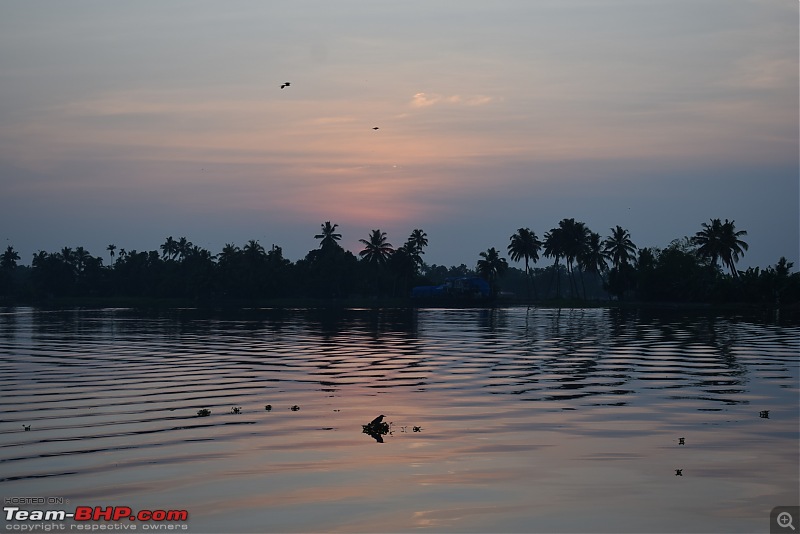 Bangalore - Munnar - Varkala - Alleppey in our Thar-dsc_0288.jpg