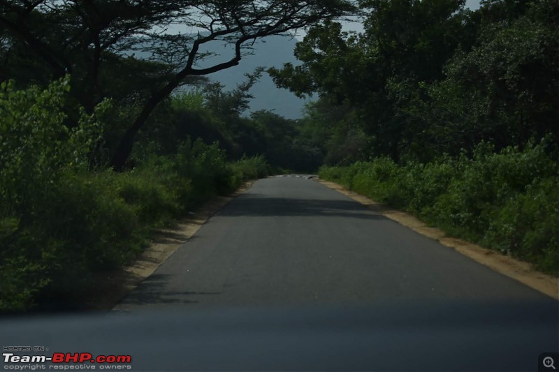 Trip through God's Own Country, Kerala-dsc_0196_1.jpg