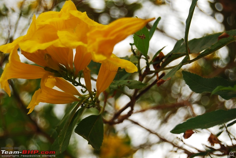 1000 Pillar Temple- Single Day Journey !-dsc_2228.jpg