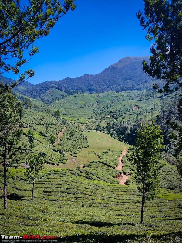 Hyderabad - Kanyakumari - Kerala in a Duster AWD-munnar-d-2-6.jpg