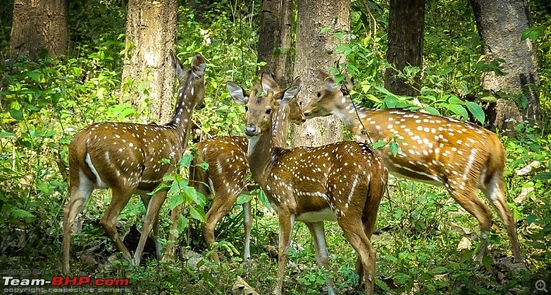 Hyderabad - Kanyakumari - Kerala in a Duster AWD-ban2.jpg