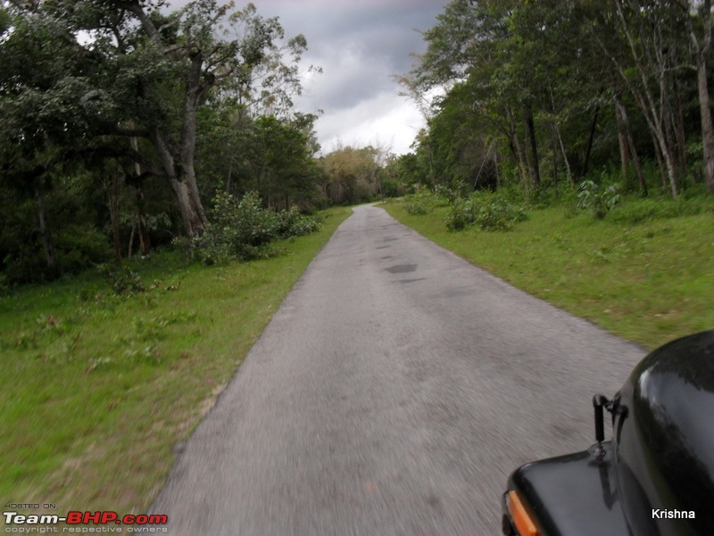 Wildlife, Water falls, Coffee hills, Tea estates, Rain, River, Mist @ south coorg-2.jpg