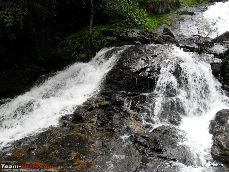 Wildlife, Water falls, Coffee hills, Tea estates, Rain, River, Mist @ south coorg-19a.jpg