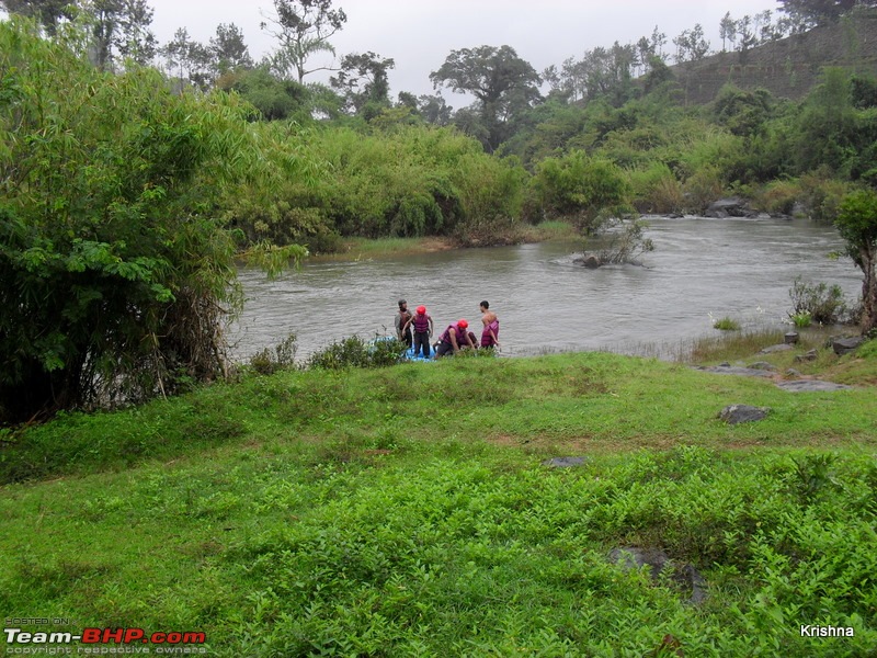 Wildlife, Water falls, Coffee hills, Tea estates, Rain, River, Mist @ south coorg-25.jpg