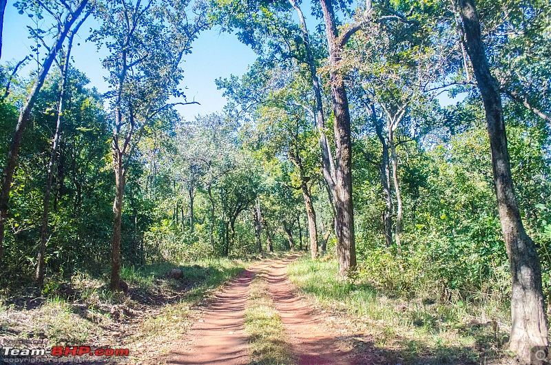 To the Forests of Eastern Odisha-_dsc0138.jpg