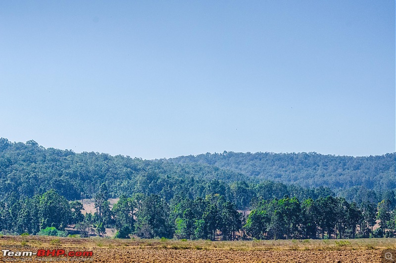 To the Forests of Eastern Odisha-_dsc0176.jpg