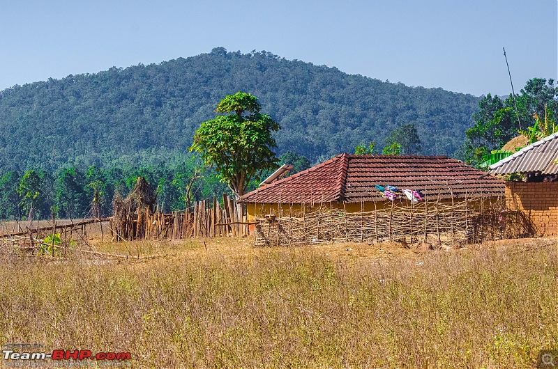 To the Forests of Eastern Odisha-_dsc0177.jpg