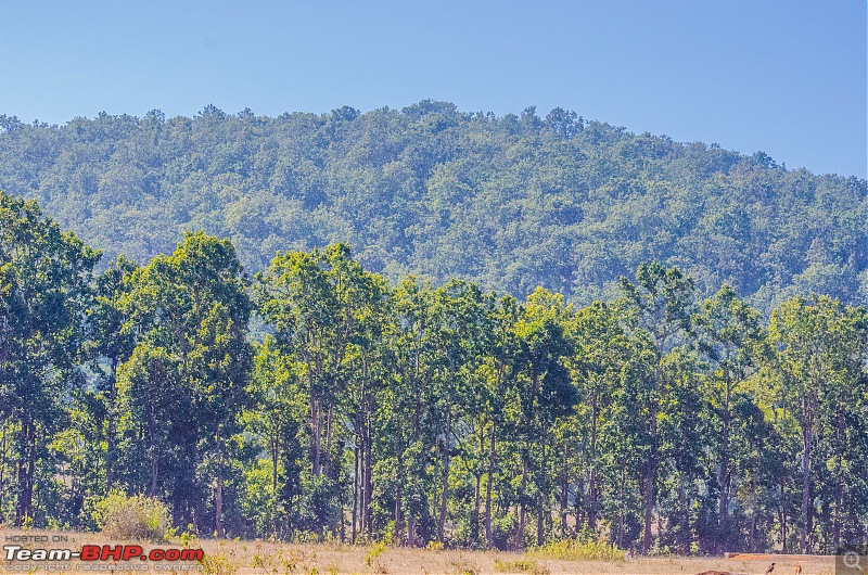 To the Forests of Eastern Odisha-_dsc0180.jpg