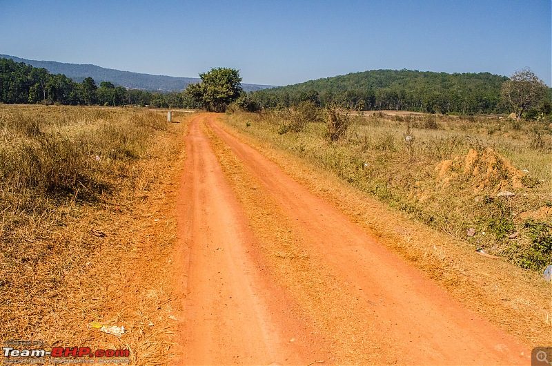 To the Forests of Eastern Odisha-_dsc0182.jpg