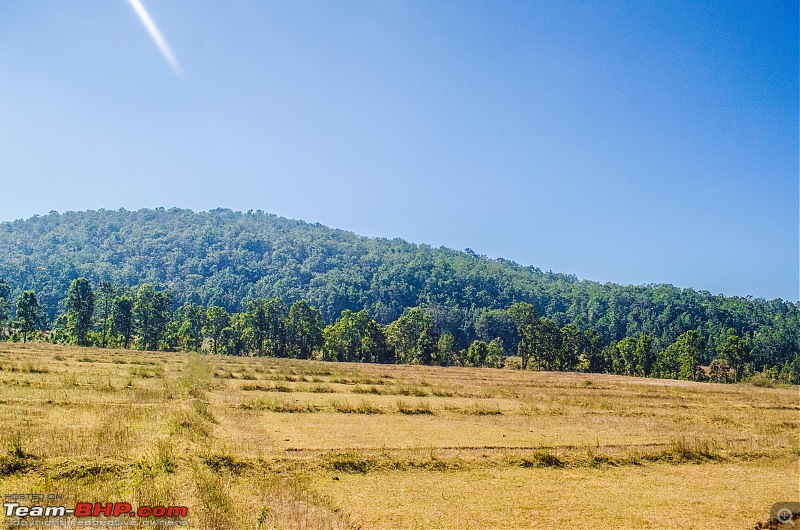 To the Forests of Eastern Odisha-_dsc0185.jpg