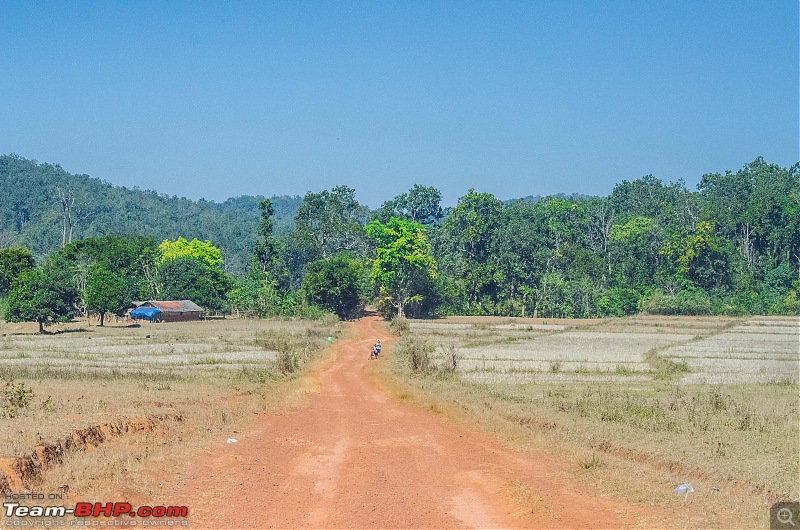 To the Forests of Eastern Odisha-_dsc0190.jpg