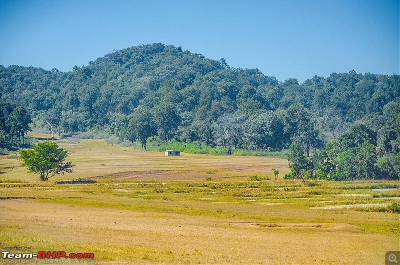 To the Forests of Eastern Odisha-_dsc0227.jpg