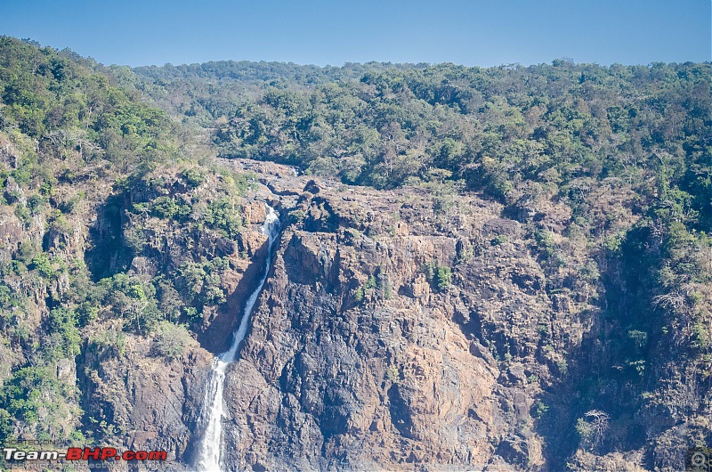 To the Forests of Eastern Odisha-_dsc0234.jpg