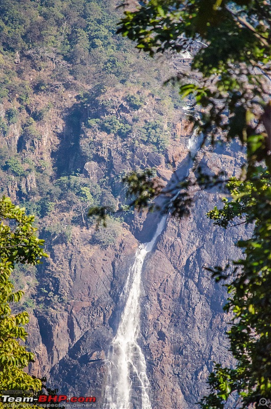 To the Forests of Eastern Odisha-_dsc0246.jpg