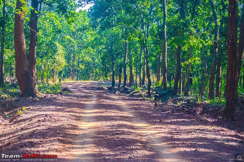 To the Forests of Eastern Odisha-_dsc0248.jpg