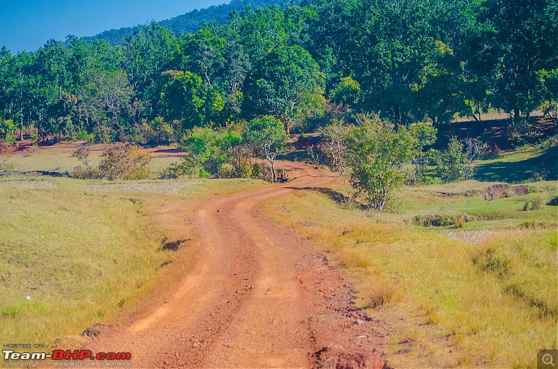 To the Forests of Eastern Odisha-_dsc0264.jpg